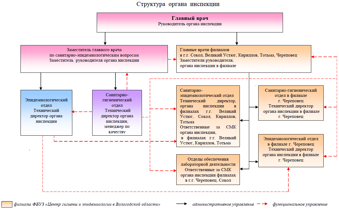 Состав органа